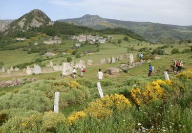 Trail Walking Borée - Boree Mezenc Croix Boutieres 19km - Photo