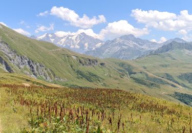 Randonnée Marche Les Contamines-Montjoie - Le Signal - vers le col Very - Photo