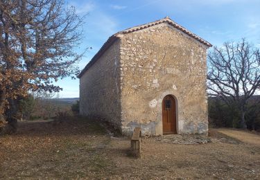 Trail Walking Saint-Laurent-du-Verdon - Circuit du Chiron 14.1.23  - Photo