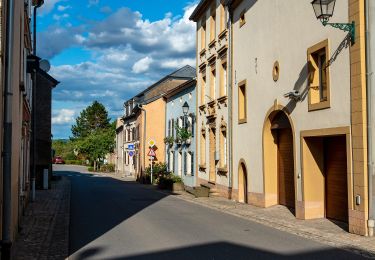 Trail On foot Schengen - Circuit Cremant - Photo