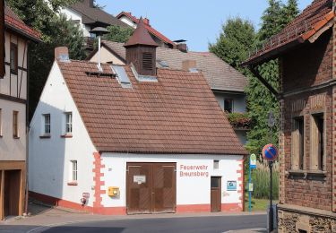 Excursión A pie Johannesberg - Roter Hase Rundwanderweg Johannesberg - Photo