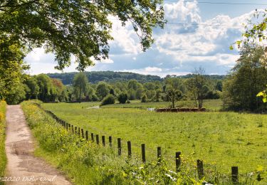 Percorso Marcia Sablons sur Huisne - Les Chemins de l'histoire 12,0 Km - Photo