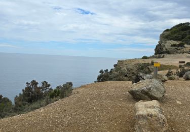 Excursión Senderismo Hyères - Rando Porquerolle - Photo