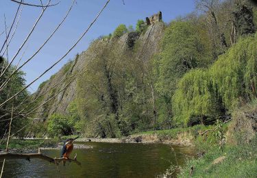 Tocht Te voet Aywaille - AY06 Château d'Amblève - Photo