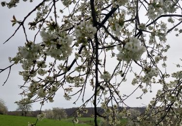 Tocht Stappen Fougerolles-Saint-Valbert - Fougerolles Crollieres - Photo