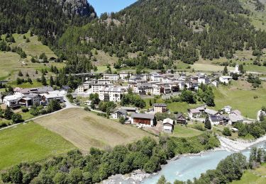 Percorso A piedi Zernez - Alp Zeznina Dadaint-Lavin - Photo