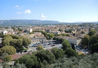 Randonnée Marche Cavaillon - PF-Cavaillon - Colline St Jacques - Photo