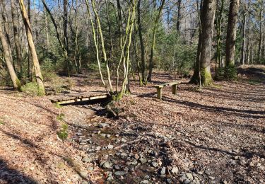 Trail Walking Momignies - Seloignes 23 - Photo