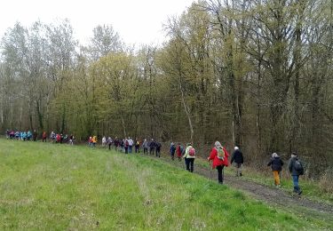 Trail Walking Nogent-l'Artaud - Nogent l'Artaud du 27-03-2023 - Photo