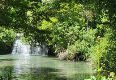 Randonnée Marche Bras - A la rencontre du Cauron et de l'Argens - Photo