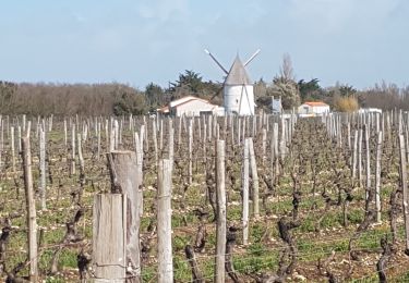 Excursión Senderismo Saint-Denis-d'Oléron - les Seulieres - Photo