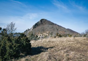 Tocht Stappen Saou - Forêt de Saoû - Les Pomerolles - Photo
