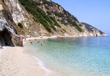 Tour Zu Fuß Campo nell'Elba - La via dei rosmarini - Photo