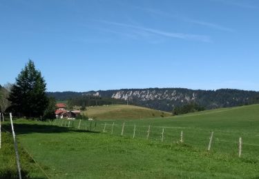 Excursión Senderismo Grand'Combe-Châteleu - Étape 8 : Vieux Chateleu à les Alliés - Photo