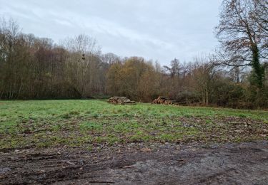 Tour Wandern Villedômer - Villedomer - Étang de l'Arche - Photo