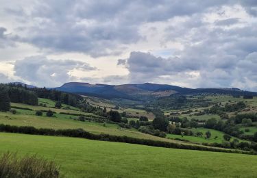 Trail Walking Saulzet-le-Froid - 24.09.22 Saulzet le froid - Photo