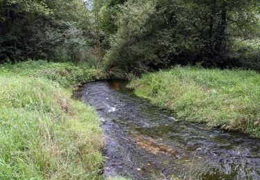 Excursión A pie Jetřichovice - [Z] Dolský mlýn - Pod Borovinou - Photo