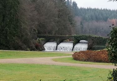 Trail Walking Habay - La Fagne des Potis - Photo