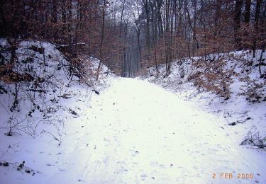 Percorso A piedi Ober-Ramstadt - Ortsrundwanderweg Ober-Ramstadt 1 - Photo