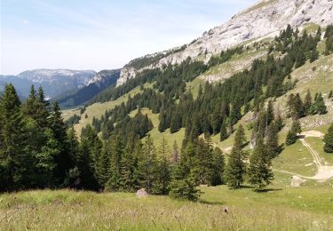 Trail Walking Glières-Val-de-Borne - GLIERES: TOUR DE LA MONTAGNE DES FRETES - Photo