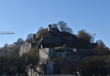 Tour Wandern Namen - 20201128 - NAMUR 9 Km - Photo