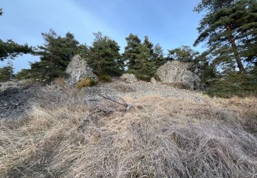 Trail Walking Salettes - Camp D’Anthoune, Salettes (Haute-Loire) - Photo