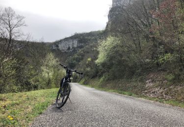 Tour Elektrofahrrad Montricoux - Gorges de l'Aveyron 1 - Photo