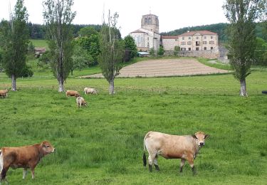 Tour Wandern Boisset-Saint-Priest - 5 tournon lalizolle - Photo