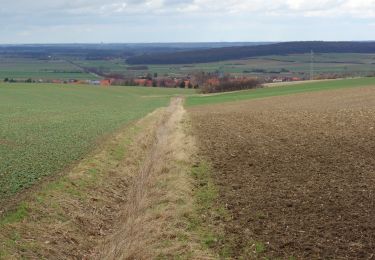 Percorso A piedi Königslutter am Elm - Elm Rundwanderweg 24 - Photo