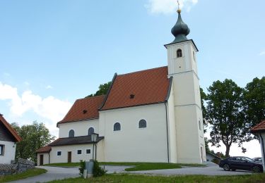 Percorso A piedi Gemeinde Sallingberg - Augenbründlweg 10 - Photo