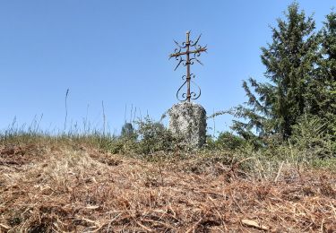 Randonnée Marche Maurines - le bez,départ de Morsange  - Photo