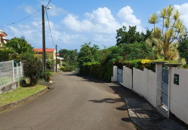 Trail Walking Le Lorrain - Boucle Morne Ceron - Macédoine - Moreau - Photo