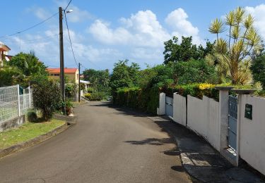 Excursión Senderismo Le Lorrain - Boucle Morne Ceron - Macédoine - Moreau - Photo