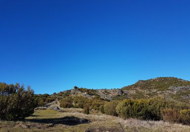 Trail Walking Ilha - Madère : vers le Pico Ruevo sommet de l'île - Photo