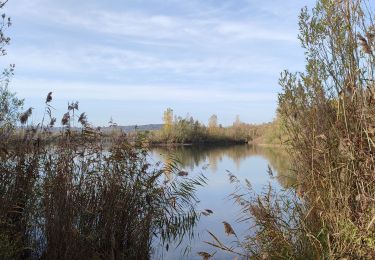Trail Walking Jablines - jablines secret - Photo