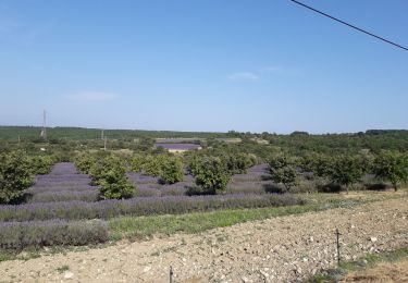 Tocht Stappen Montjoyer - 07 07 19 - Photo