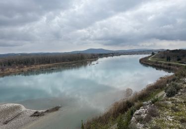 Tocht Stappen Mérindol - PF-Mérindol - La Garrigue - Observatoire ornithologique - Bord de Durance - Photo