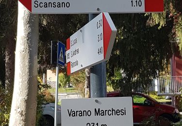 Randonnée A pied Medesano - Varano Marchesi - Monte San Biagio - Faieto - Case Buca Violi - Varano Marchesi - Photo