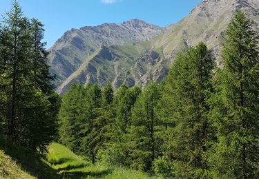 Tocht Stappen Crévoux - Parcours des Fées - Cascade de Razis - Photo