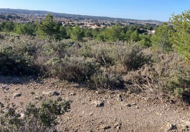 Trail Walking Mouriès - Les Caisses de Jeanjean(12K 185D+) V5 - Photo