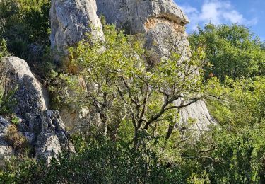 Tocht Stappen Vinon-sur-Verdon - vinon1 - Photo