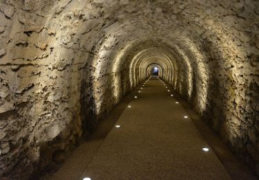 Tour Zu Fuß Norcia - IT-515 - Photo