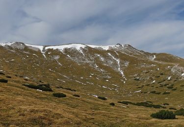 Percorso A piedi Gemeinde Schwarzau im Gebirge - Fleischersteig - Photo