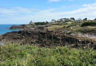 Tour Wandern Saint-Malo - Rothénon - 8.3km 130m 2h50 - 2017 06 24 - Photo