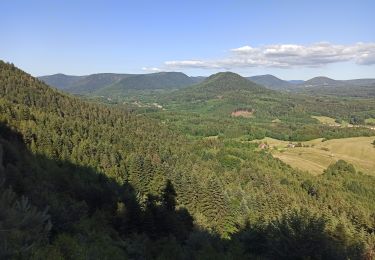 Tour Mountainbike Moyenmoutier - Moyenmoutier Tête du Coquin - Photo