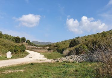 Tour Wandern Marseille - Les grottes Loubieres Chateau Gombert - Photo