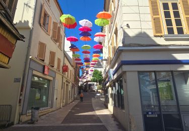 Trail On foot Joigny - Boucle 25 km Joigny La Roche - Photo