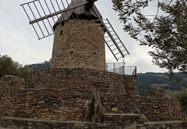 Trail Walking Collioure - le moulin a coulioure - Photo