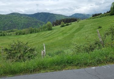 Tocht Stappen Alleyras - vers Montrisol d'Allier - Photo