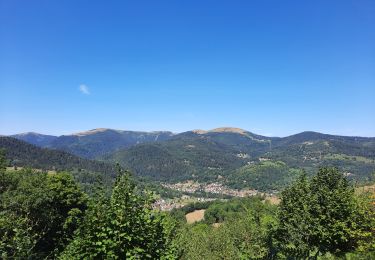 Randonnée Marche Sondernach - sondernach , sous le petit ballon. - Photo